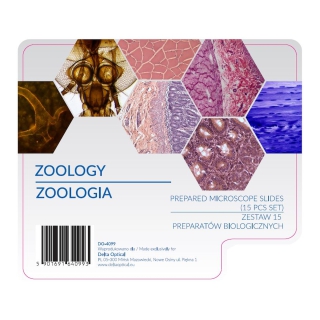 Zestaw preparatów-Zoologia 15 szt.(krew ryby, nerka myszy, włókna nerwowe)