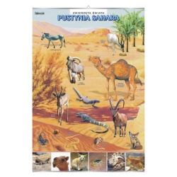 Plansza - Pustynia Sahara -...