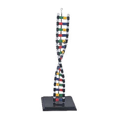 DNA - model schematu